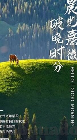 91精品麻豆日日躁夜夜躁-探寻成人影片的隐忧与现代生活的一瞥