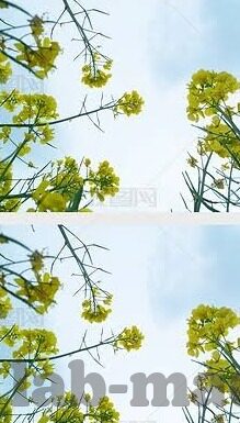 成人免费视频一区二区-网络世界的灰色地带