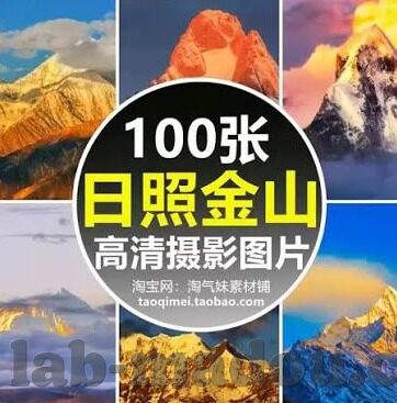 成人最新视频-成人最新视频，在数字时代下的文化与伦理探讨