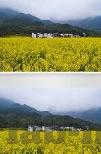 国产精品一国产av麻豆-探究国产影视精品——国产AV麻豆的魅力与争议