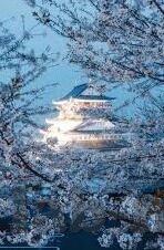 鲁丝一区鲁丝二区鲁丝三区-鲁丝一区、二区、三区的独特魅力与区域发展
