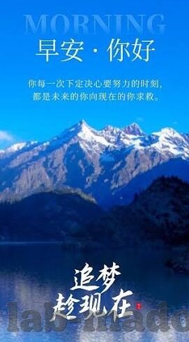 麻豆app2.0-探索麻豆app2.0，重塑用户体验的数字革命