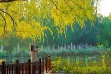 麻豆传媒app苹果下载破解版-麻豆传媒app —— 解码娱乐与创新的界限