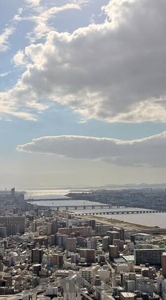 麻豆视频 在线-