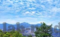 糖心变态视频app下载-捍卫网络清风，揭秘糖心变态视频app的虚伪表象