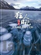 www.4438x麻豆视频-多视角下的网络视频平台分析，以www.4438x麻豆视频为例